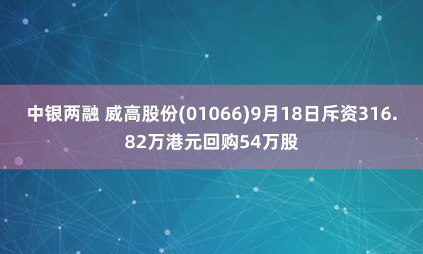 中银两融 威高股份(01066)9月18日斥资316.82万港元回购54万股