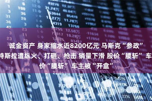 诚金资产 身家缩水近8200亿元 马斯克“参政”引火烧身！特斯拉遭纵火、打砸、枪击 销量下滑 股价“腰斩” 车主被“开盒”