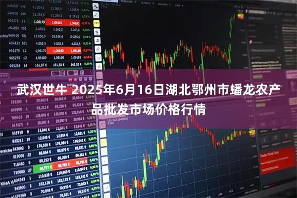 武汉世牛 2025年6月16日湖北鄂州市蟠龙农产品批发市场价格行情