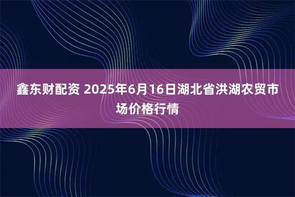 鑫东财配资 2025年6月16日湖北省洪湖农贸市场价格行情