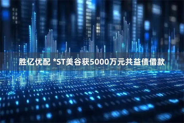 胜亿优配 *ST美谷获5000万元共益债借款