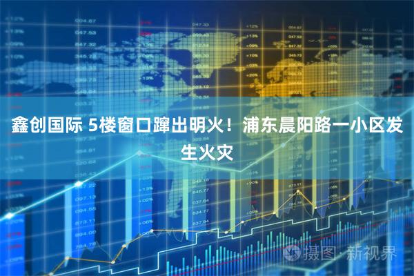 鑫创国际 5楼窗口蹿出明火！浦东晨阳路一小区发生火灾