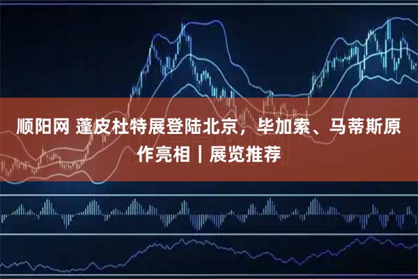 顺阳网 蓬皮杜特展登陆北京，毕加索、马蒂斯原作亮相｜展览推荐