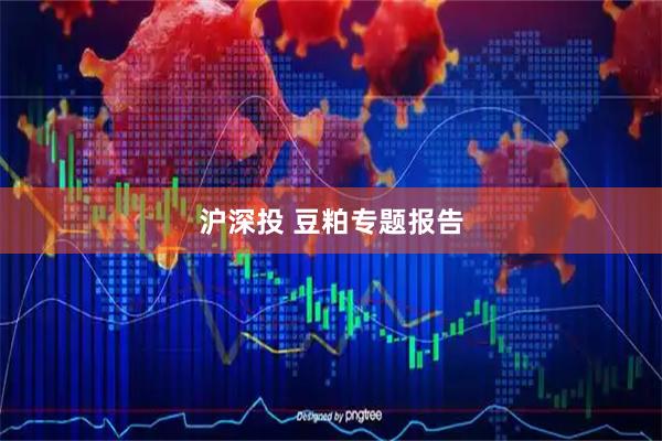 沪深投 豆粕专题报告