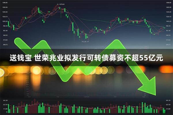 送钱宝 世荣兆业拟发行可转债募资不超55亿元